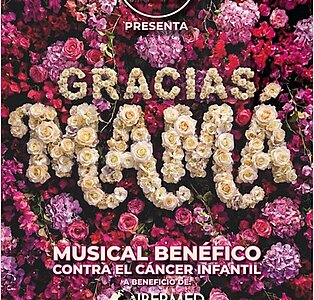 Musical Fredes Insa