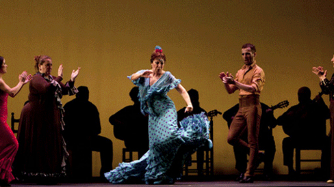 flamenco